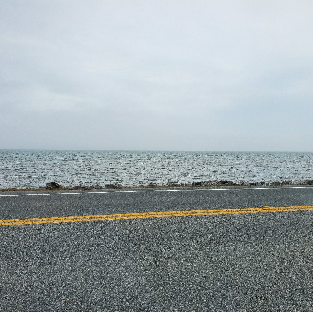 Meet your Posher, Suzy